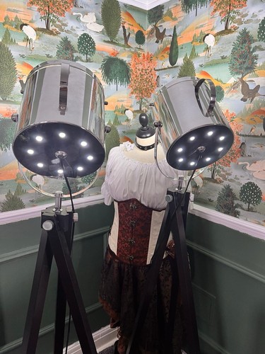 Pair tripod floor lamps - floor,
